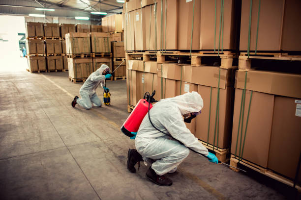 Best Bed Bug Extermination  in Middleborough Center, MA