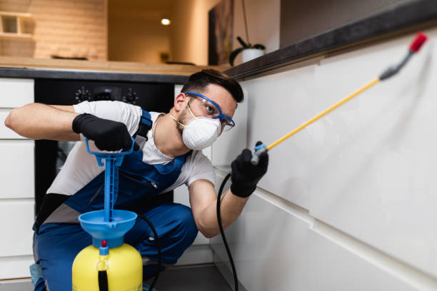 Best Pest Prevention Services  in Middleborough Center, MA