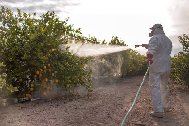Pest Control for Restaurants in Middleborough Center, MA