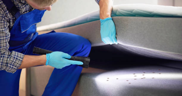Best Flea Control Services  in Middleborough Center, MA